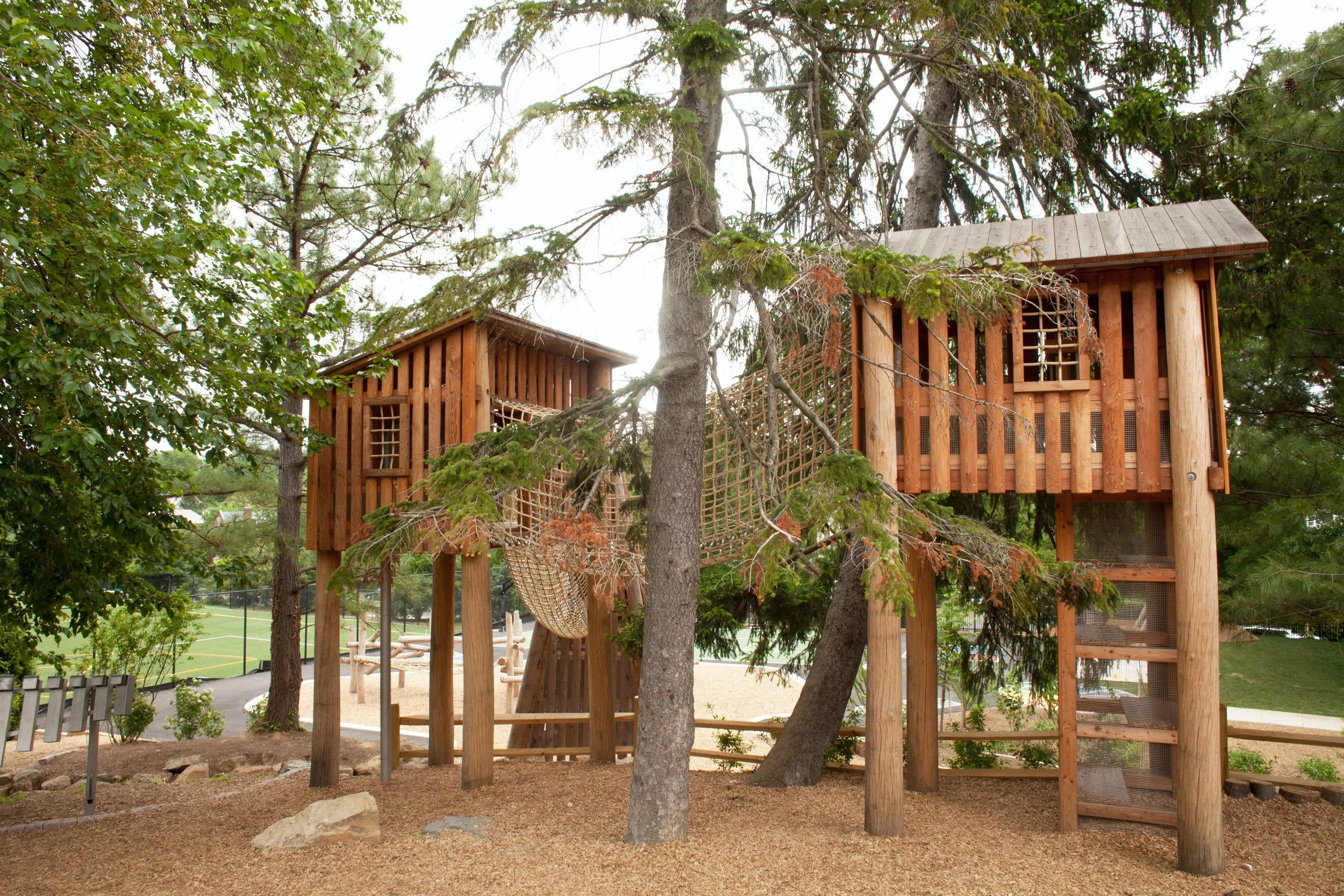 ape studio — Beauvoir Outdoors